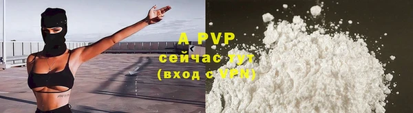 прущие грибы Белоозёрский