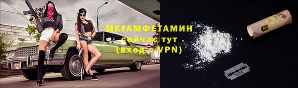 прущие грибы Белоозёрский