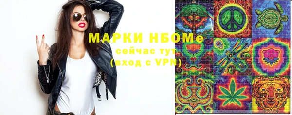 прущие грибы Белоозёрский