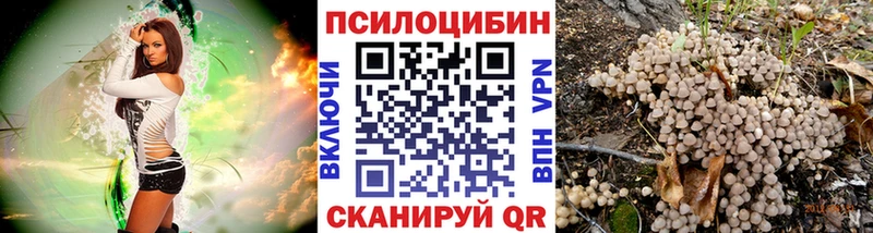 Псилоцибиновые грибы мицелий  Саяногорск 